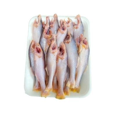 তোপসে মাছ